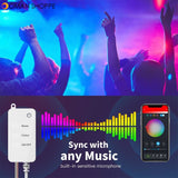 Smart WiFi LED Fairy String Light 10m 100LED RGB RGBIC USB Strip Light Work Alexa Music Sync APP 40 key Remote