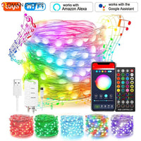 Smart WiFi LED Fairy String Light 10m 100LED RGB RGBIC USB Strip Light Work Alexa Music Sync APP 40 key Remote