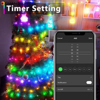 Smart WiFi LED Fairy String Light 10m 100LED RGB RGBIC USB Strip Light Work Alexa Music Sync APP 40 key Remote