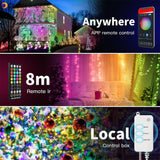 Smart WiFi LED Fairy String Light 10m 100LED RGB RGBIC USB Strip Light Work Alexa Music Sync APP 40 key Remote