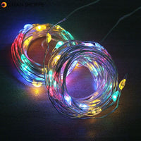 USB LED String Fairy Lights Remote Control 5M/10M/20M Copper Wire Garland Lamp