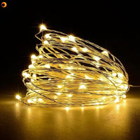 USB LED String Fairy Lights Remote Control 5M/10M/20M Copper Wire Garland Lamp