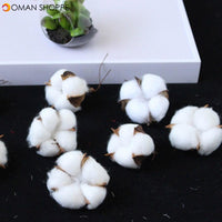 White Cotton Artificial Flowers DIY Christmas Wreath Accessories Natural Dried Flower Garland Flower Wall Material