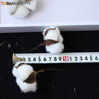 White Cotton Artificial Flowers DIY Christmas Wreath Accessories Natural Dried Flower Garland Flower Wall Material